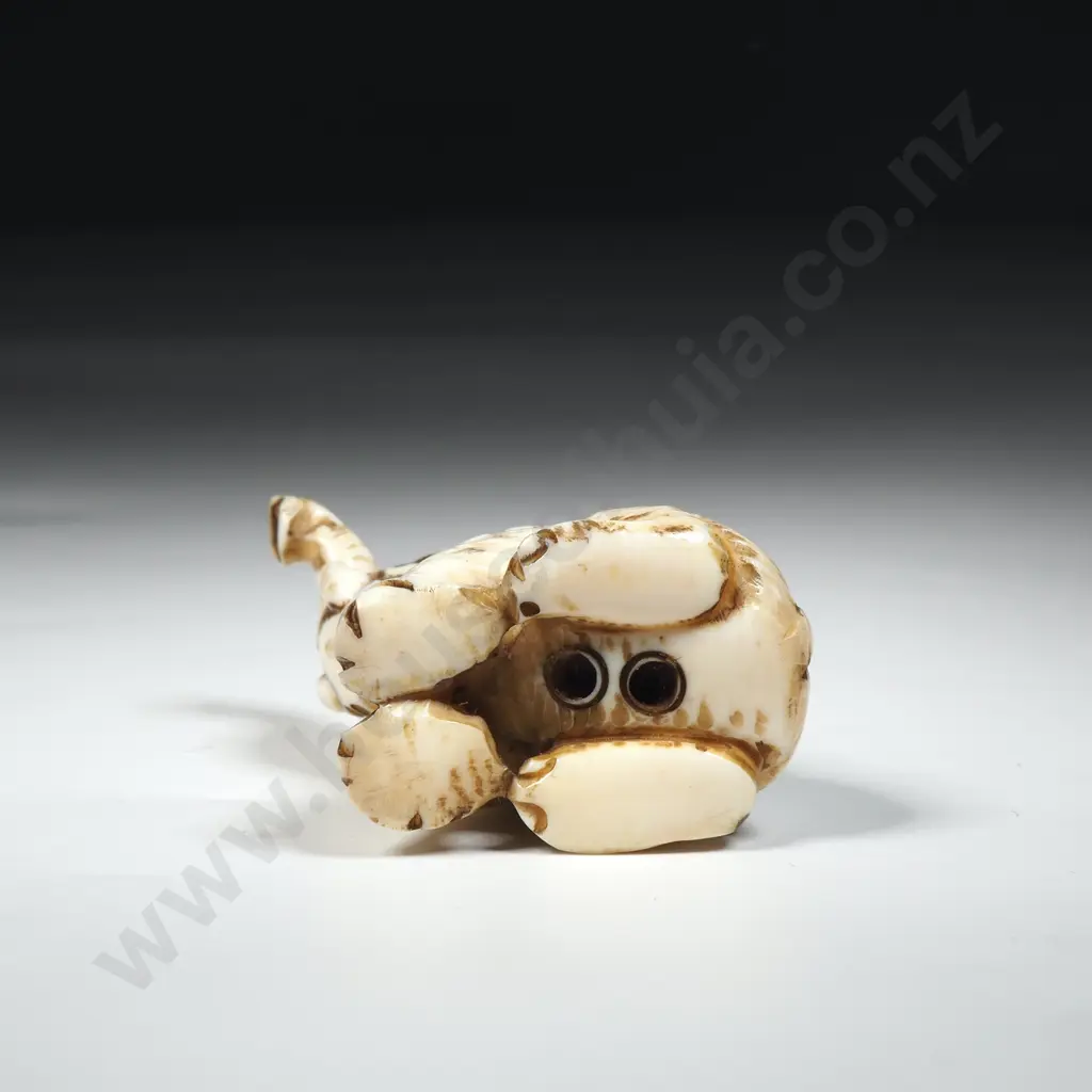 Carved Ivory Netsuke Featuring A Seated Elephant with Uplifted Trunk. Image 1++