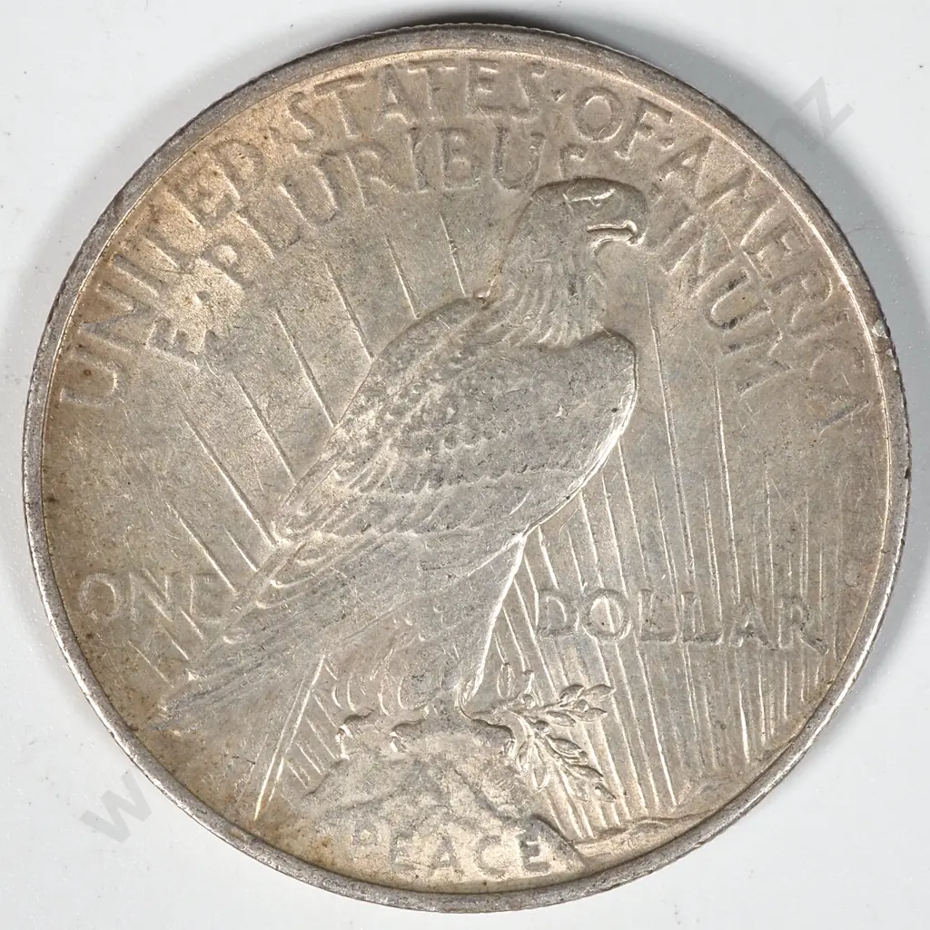 1923 United States of America Liberty Dollar Image 1++