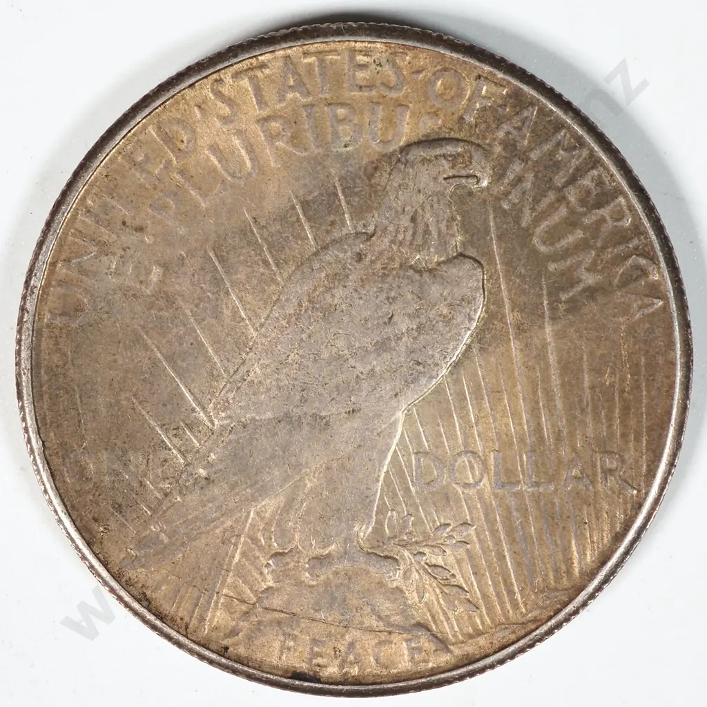 1925 United States of America Liberty One Dollar Coin  Image 1++