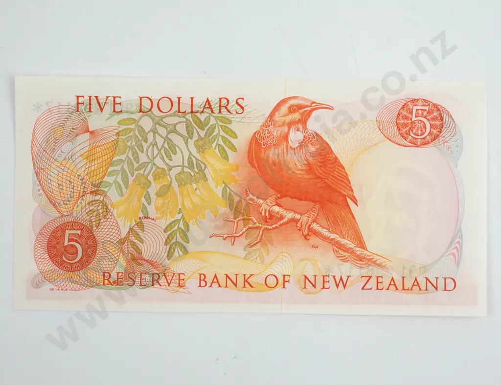 New Zealand Five Dollar Knight Star Banknote AUNC   Image 1++