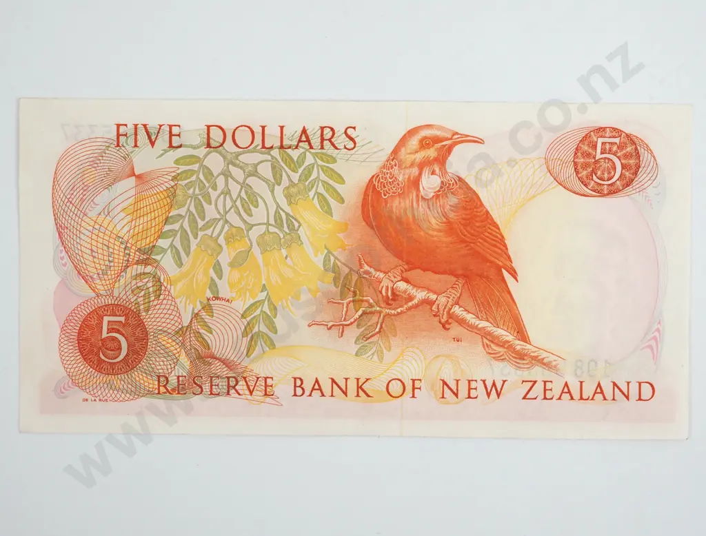 New Zealand Five Dollar Knight Banknote AUNC  Image 1++