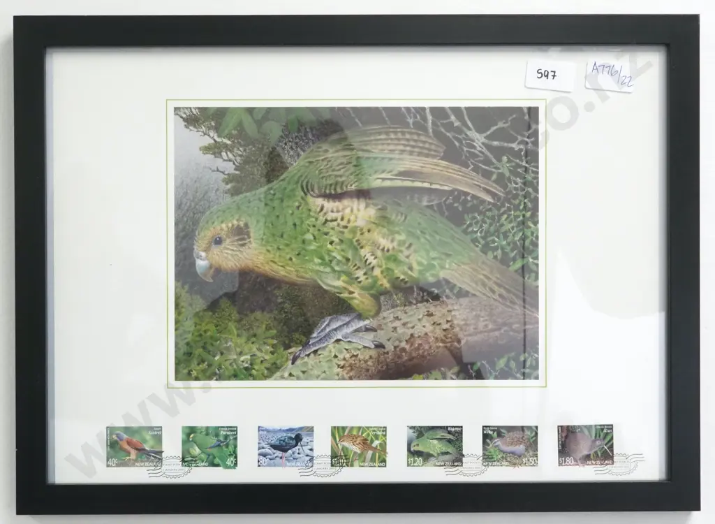 Framed Kea Print w Birds of New Zealand Stamps  Image 1++