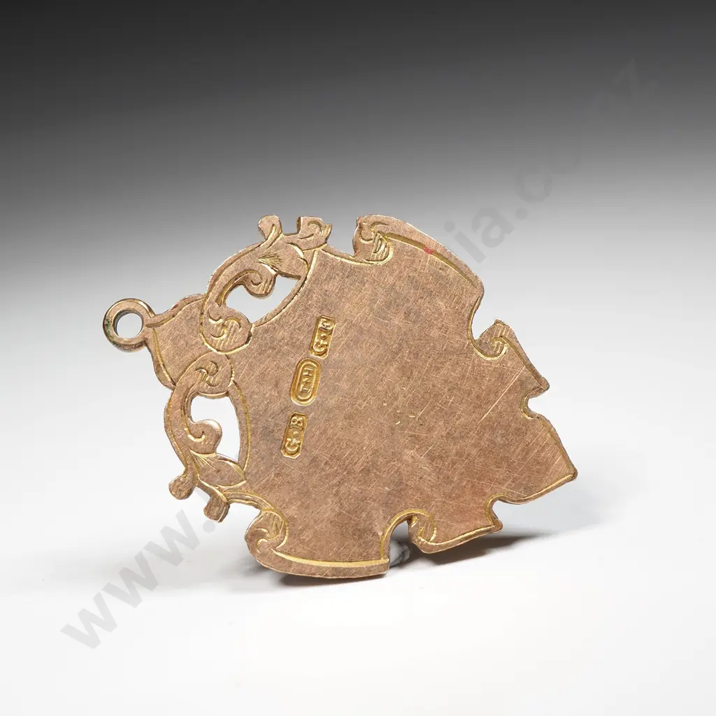 Gold Filled Not Engraved Token Image 1++