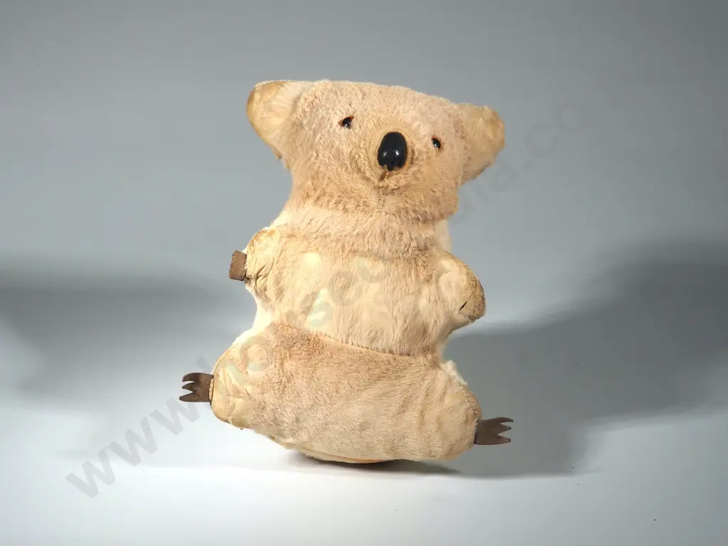 Vintage Australian Koala Bear With Glass Eyes.  Image 1++