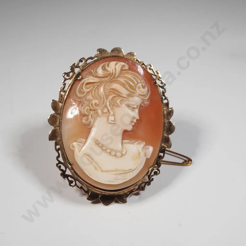 Rolled Gold Cameo Pendant & Earrings Image 1++