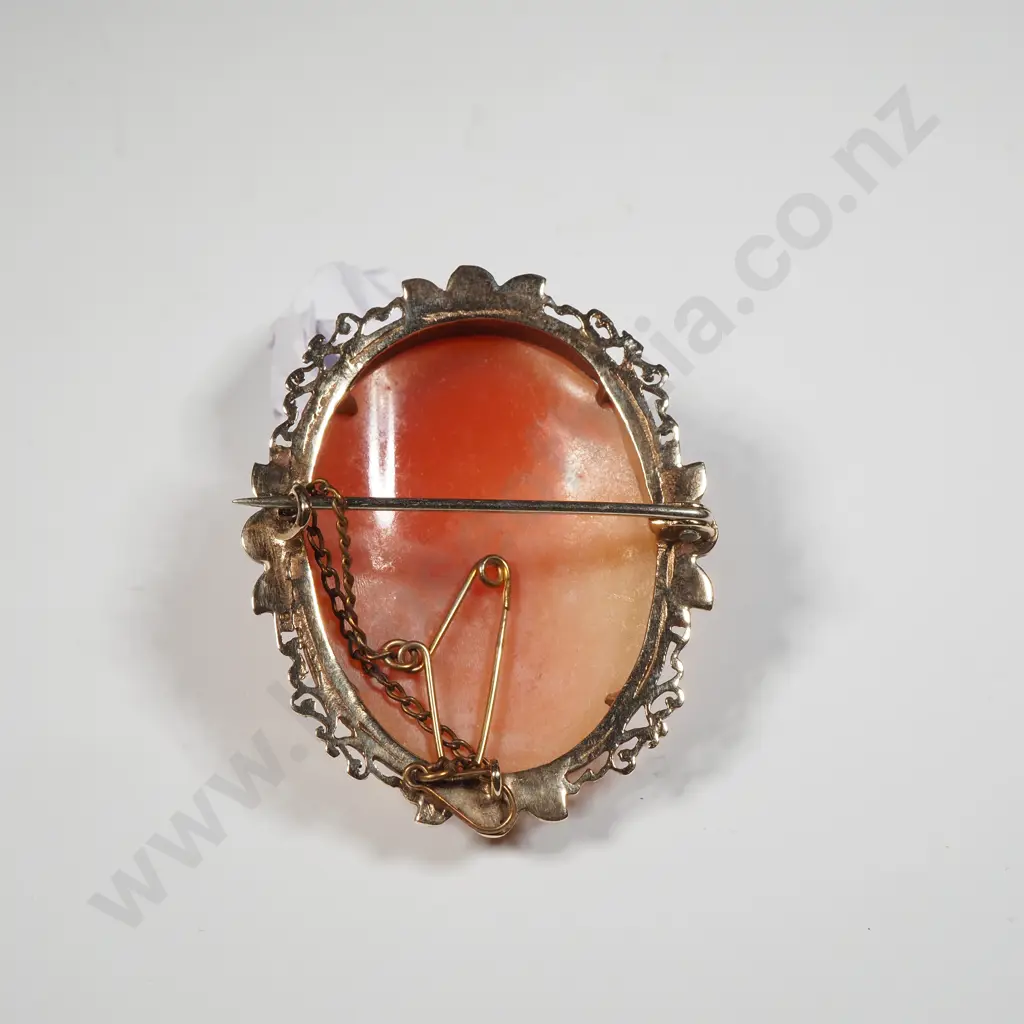 Rolled Gold Cameo Pendant & Earrings Image 1++