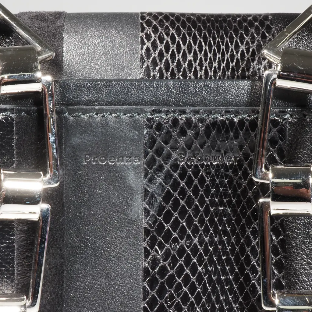 PROENZA SCHOULER Have Bag Image 1++