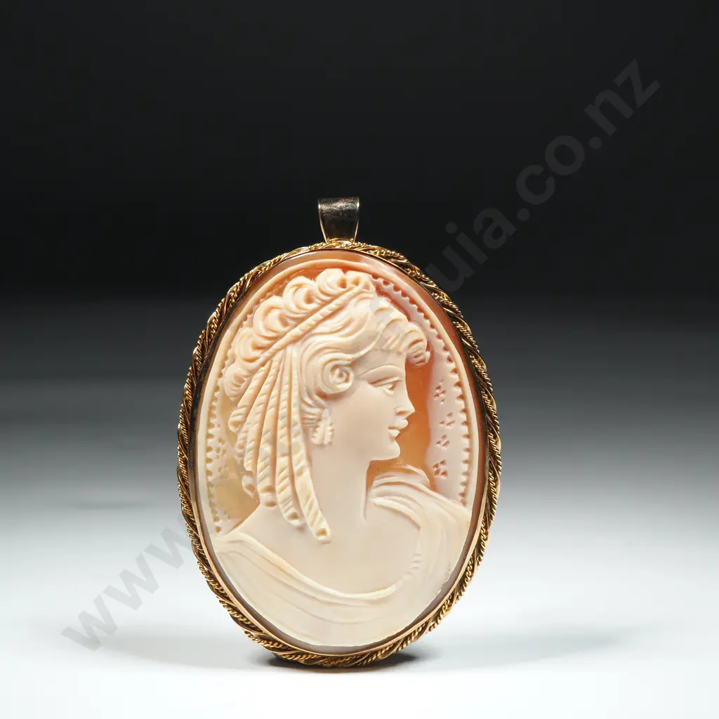 Large Oval Cameo Brooch/Pendant  In A 9ct Gold Frame  Image 1++