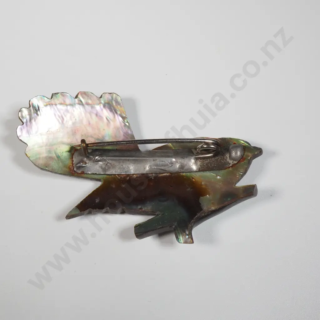 Two Paua Shell Brooches Image 1++
