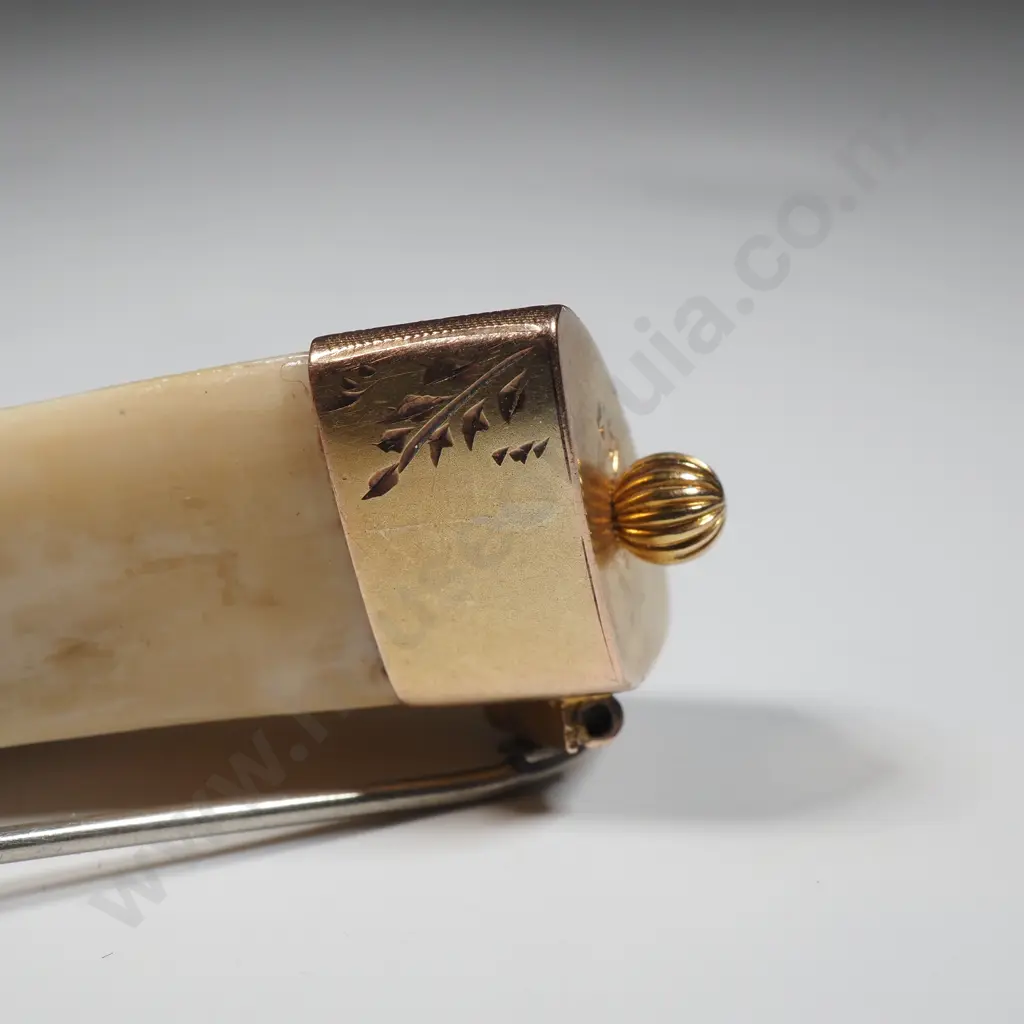 New Zealand Colonial 9ct Gold Tusk Brooch with "NZ" Image 1++