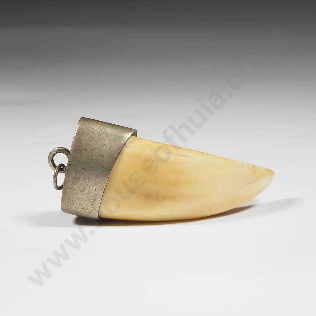 Silver & Boars Tusk Pendant  Image 1++
