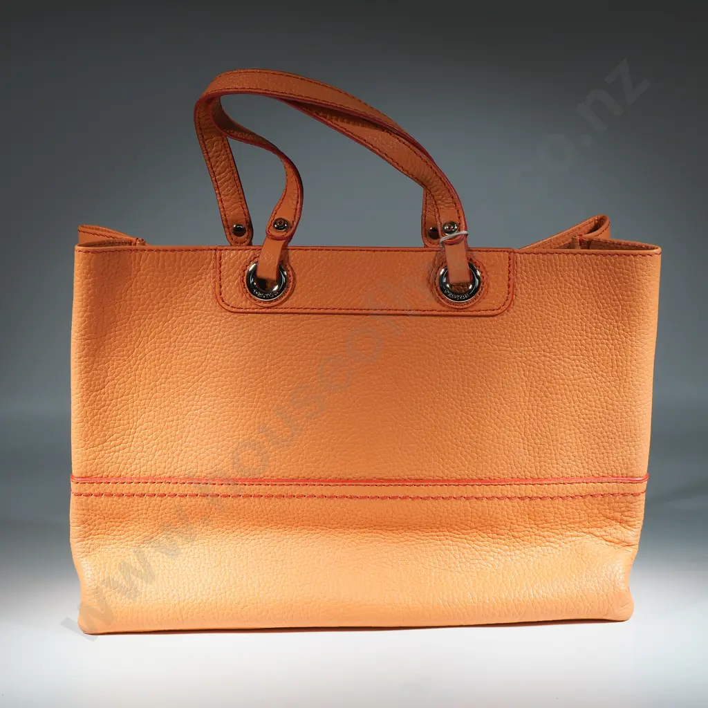 OROTON Entourage Tote Bag in Orange Image 1++