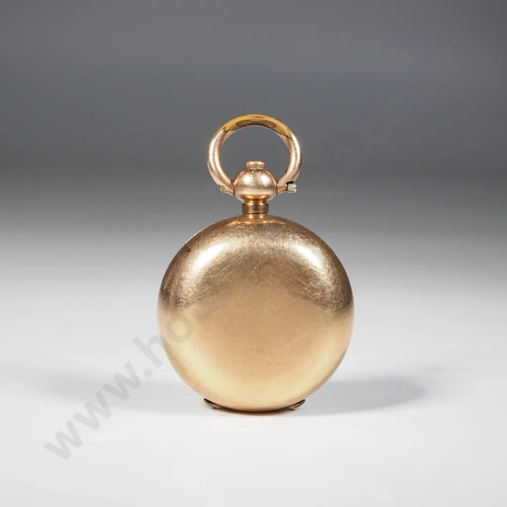 Rolled Gold Sovereign Case Image 1++