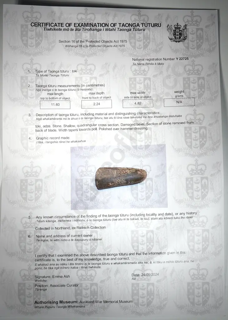 Pre-European Stone Toki - Collected in Northland, ex Radisch Collection Y22725 Image 1++