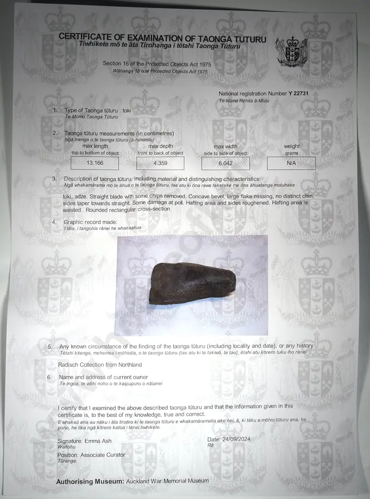 Pre-European Stone Toki - Collected in Northland, ex Radisch Collection Y22731 Image 1++