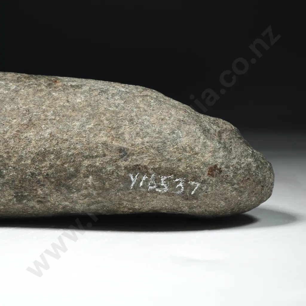 Pre-European Stone Toki - Y16537 Image 1++