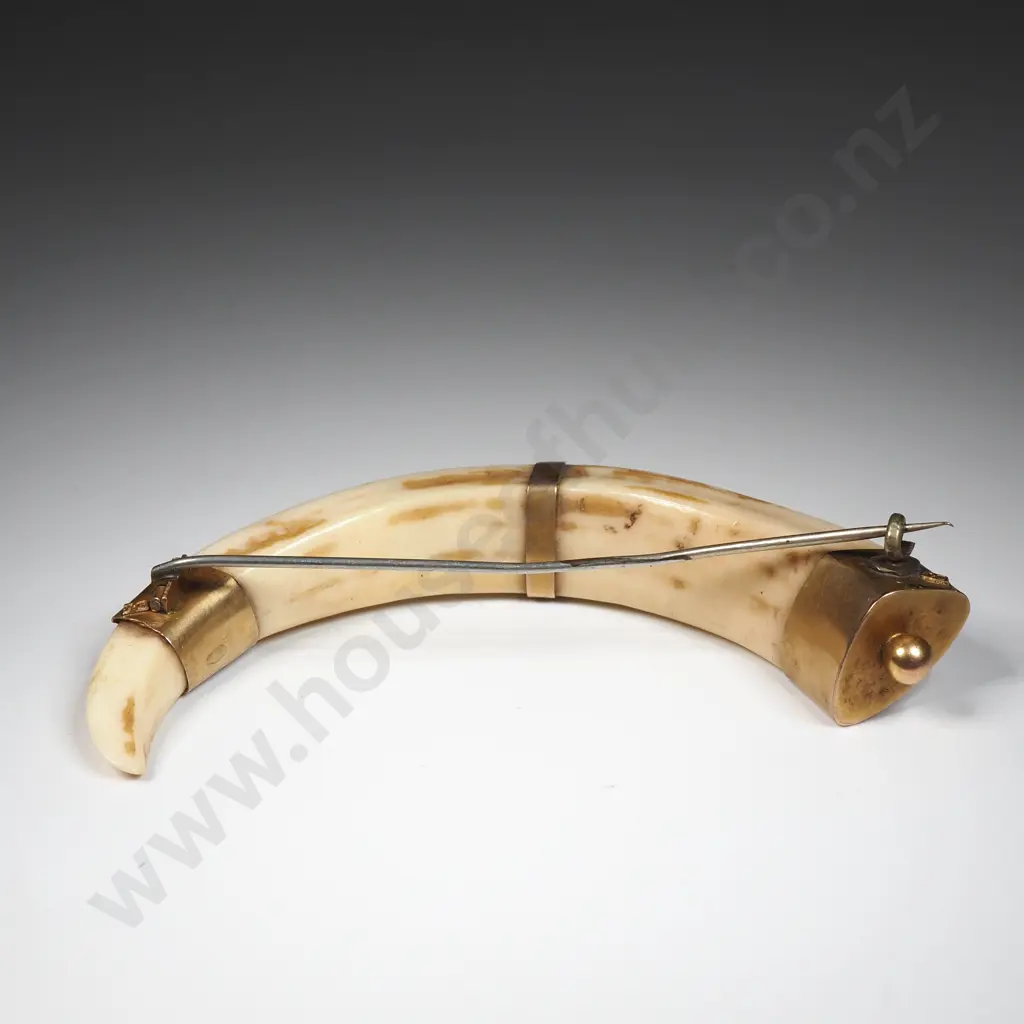 Antique New Zealand 9ct Gold Boer Tusk Brooch Image 1++