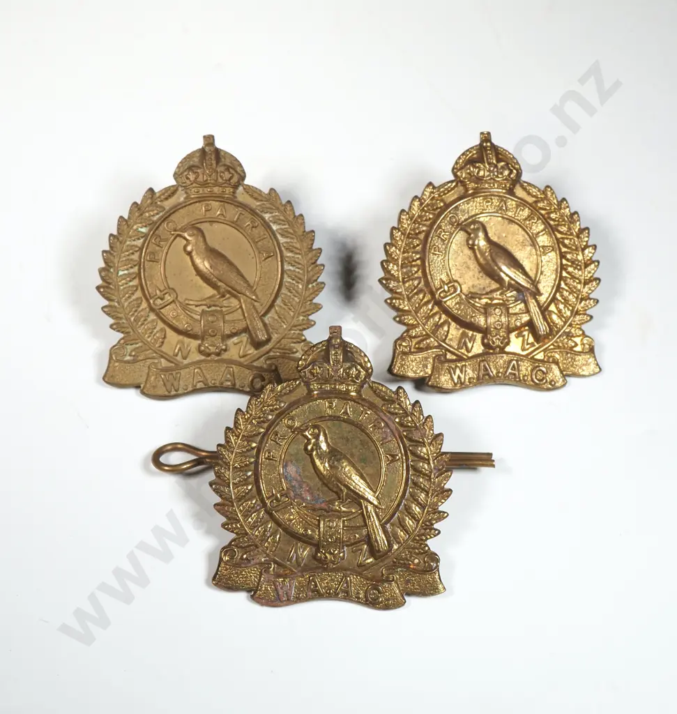 Three WAAC Army Cap Badges  Image 1++