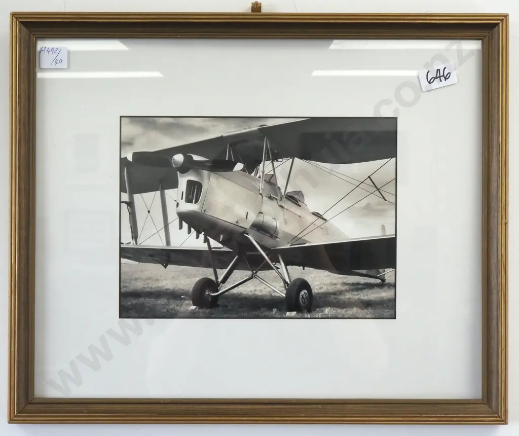 Richard Tilbury. 2004. Tigermoth. Sepia Tint Photograph Image 1++