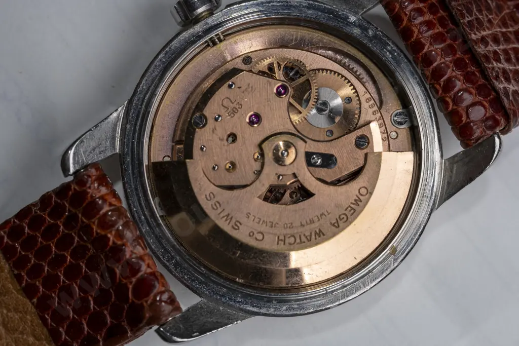 Omega Seamaster, Automatic Calendar, Circa 1960 in Stainless Steel w Snakesin Strap, Cal. 503 Ref 2849 Image 1++