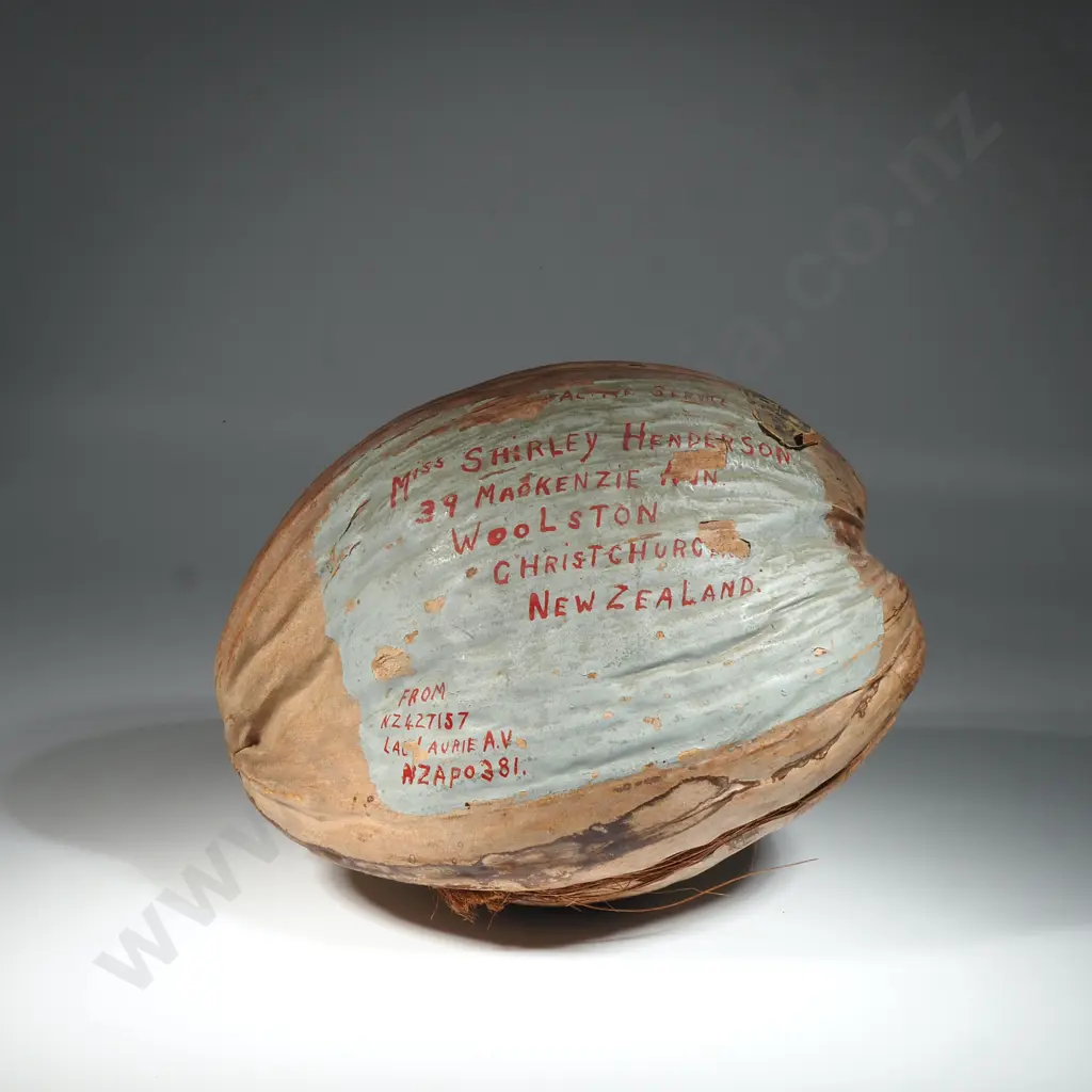 Coconut From Fiji During Active War Service  Image 1++