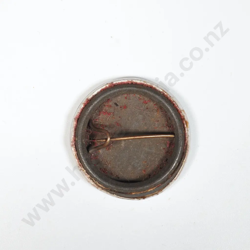1944 Parcels Fund Patriotic Pin  Image 1++