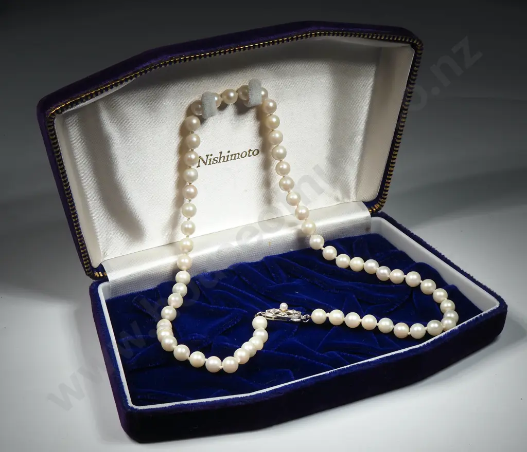 Cased Nishimoto Pearl Necklace w Sterling Silver Clasp Image 1++