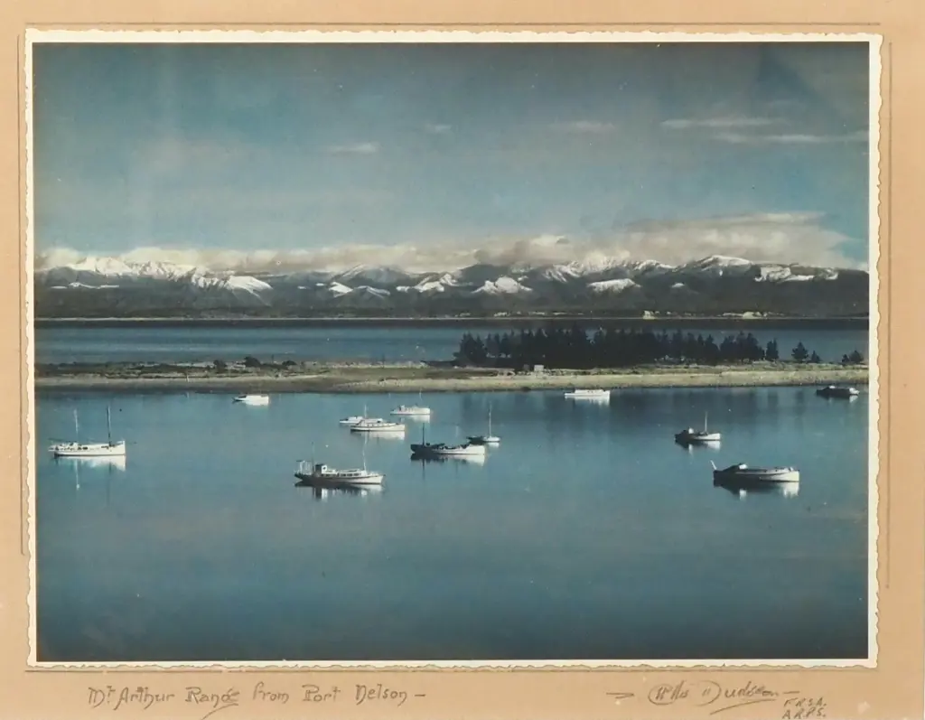Ellis Dudgeon - 'Mt. Arthur Range from Port Nelson' Hand Coloured Photograph Image 1++