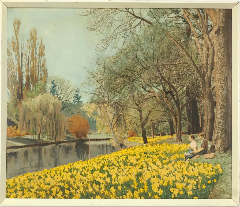 Unknown Artist - Daffodil Display, Avon River, Hand Coloured Photograph Image 1++