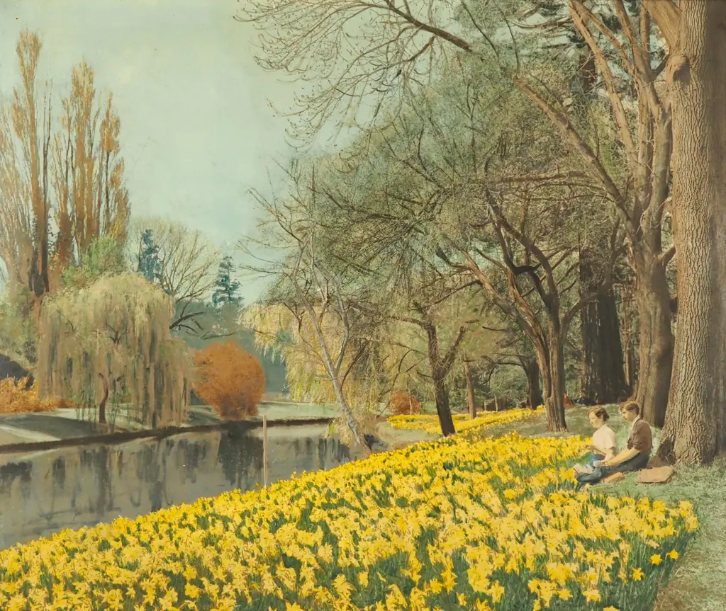 Unknown Artist - Daffodil Display, Avon River, Hand Coloured Photograph Image 1++
