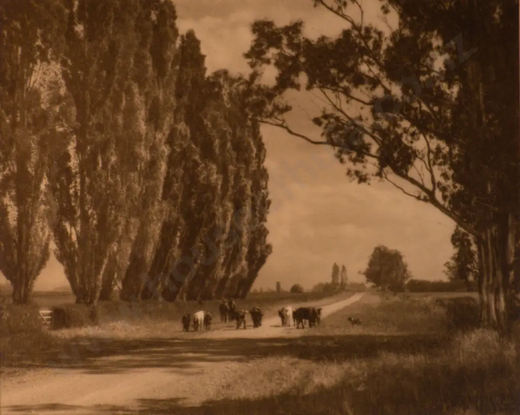 George Chance - Summer Day, South Canterbury, Albumen Silver Photograph Image 1++