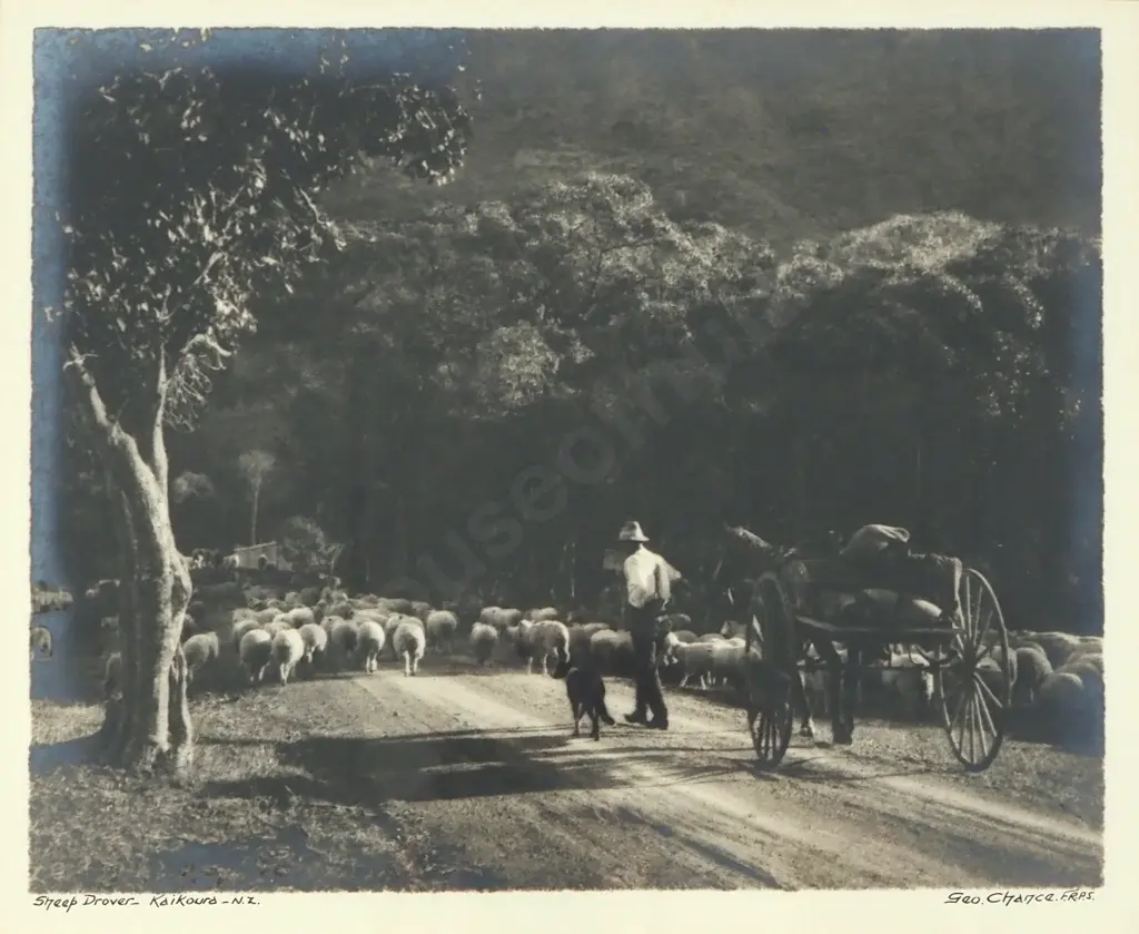 George Chance - 'Sheep Drover, Kaikoura NZ', Silver Gelatin Photograph Image 1++