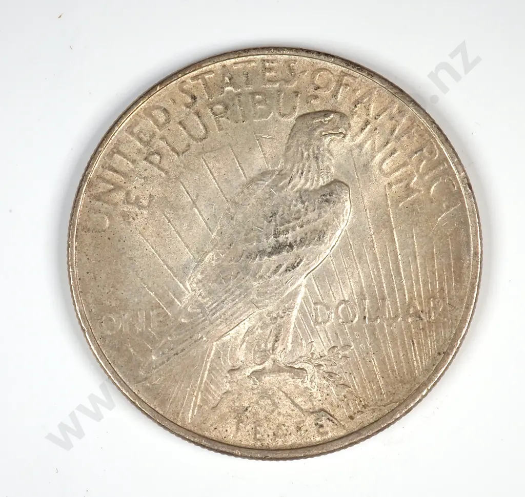 1922 United States of America Liberty One Dollar Coin  Image 1++