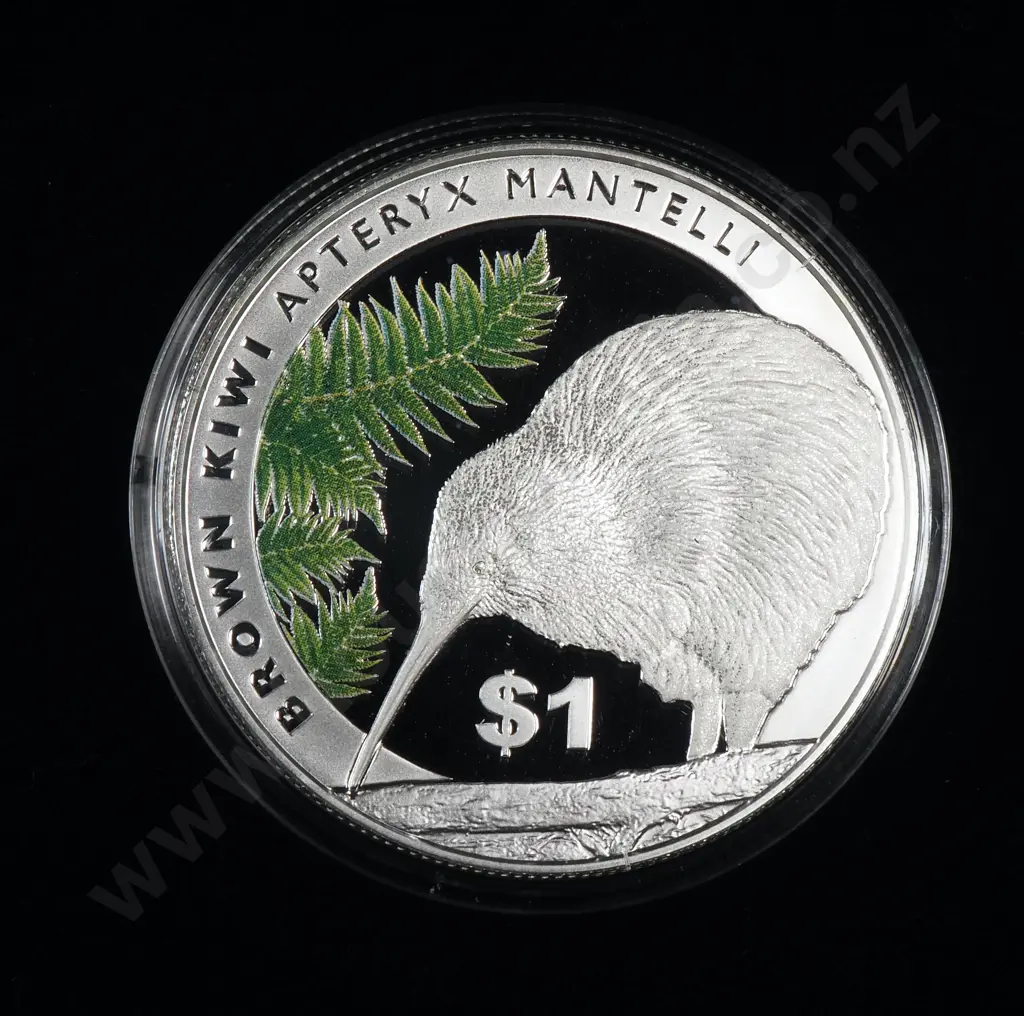 2015 New Zealand Kiwi One Ounce Silver Proof Coin CV $225 Image 1++
