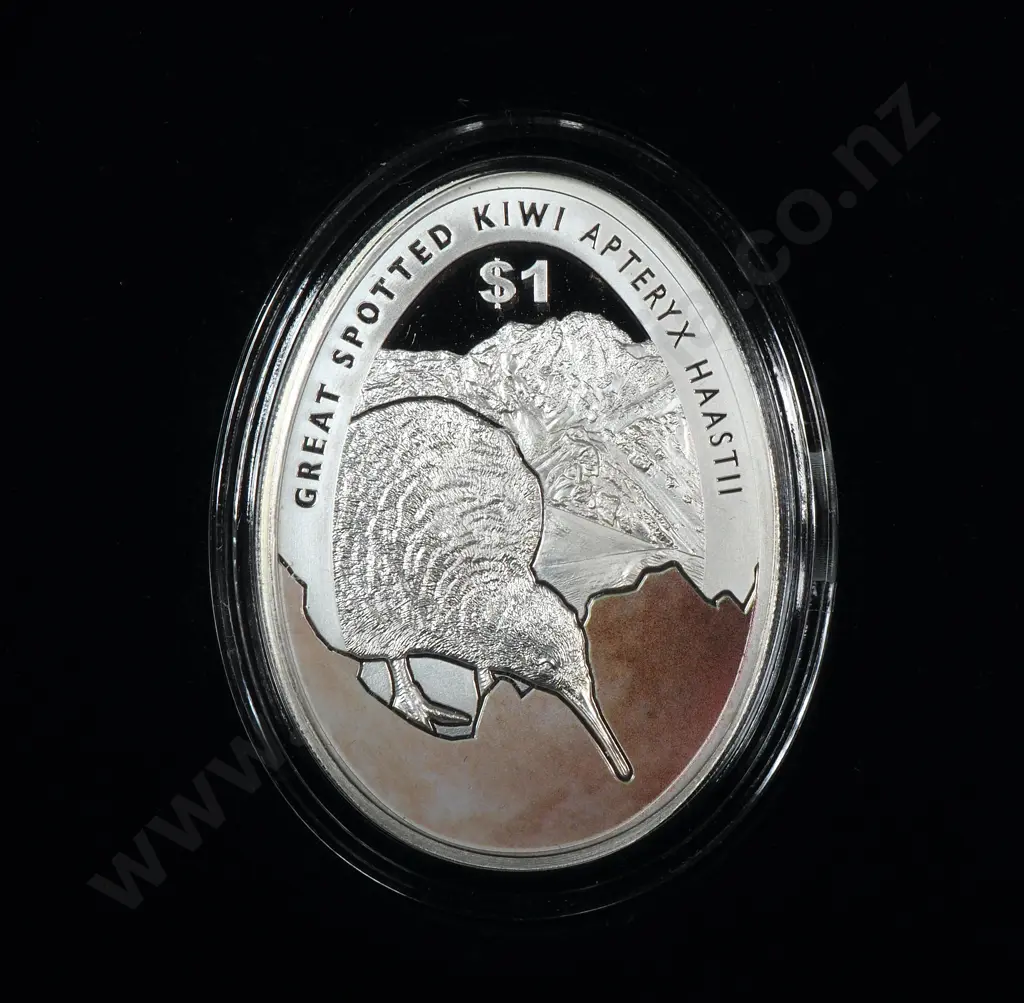 2016 New Zealand Kiwi Coin One Ounce Silver Proof Image 1++