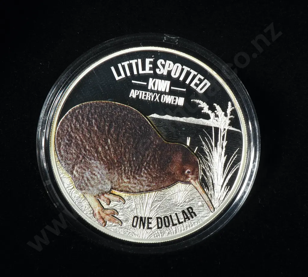 2018 New Zealand Little Spotted Kiwi One Ounce Silver Proof Coin Image 1++