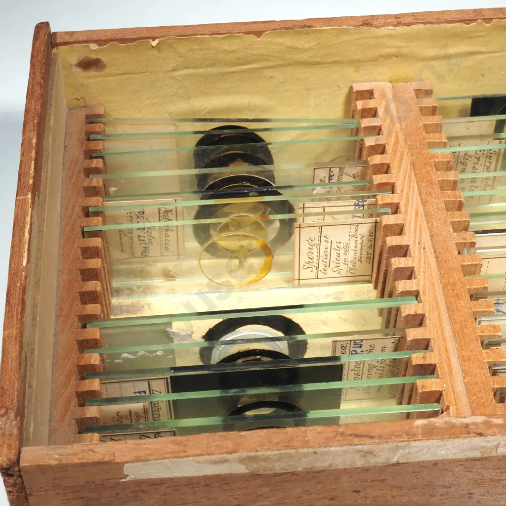Quantity Of Microscope Glass  Slides w Specimens in Wooden Box Image 1++