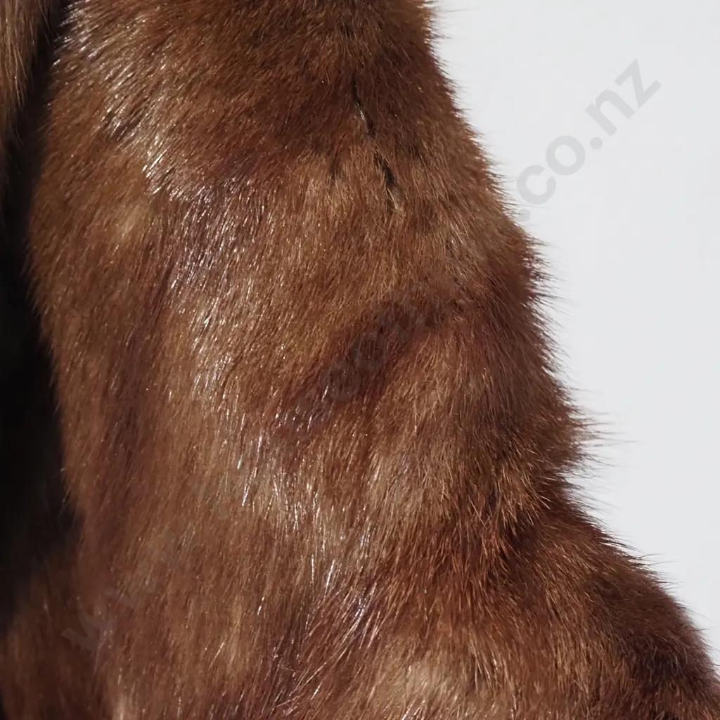 Vintage Ladies Muskquash Fur Stole - Excellent Condition Image 1++