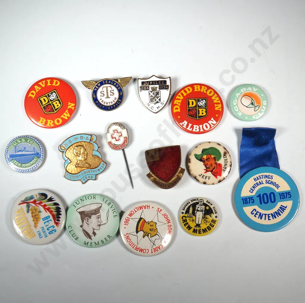 Large Assorted Lot of Pins  Image 1++