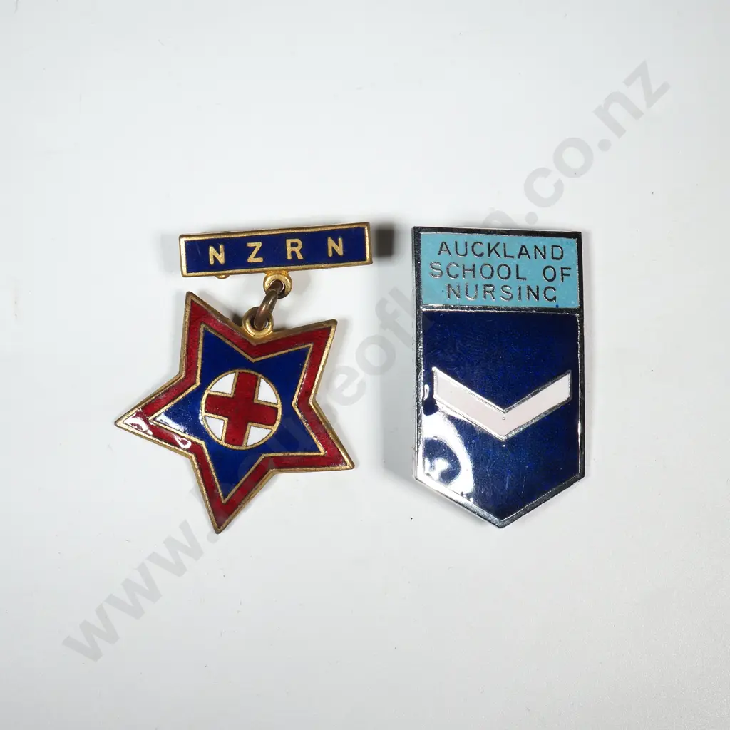 Two Vintage Nurses Badges  Image 1++
