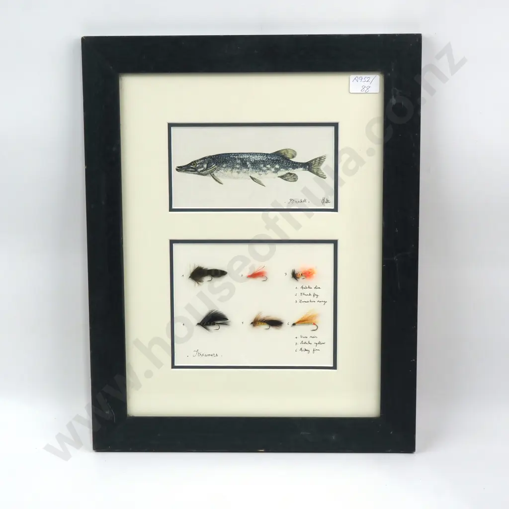 Hutter - Brochet & Streamers - Mixed-Media - 380mm X 280mm Image 1++