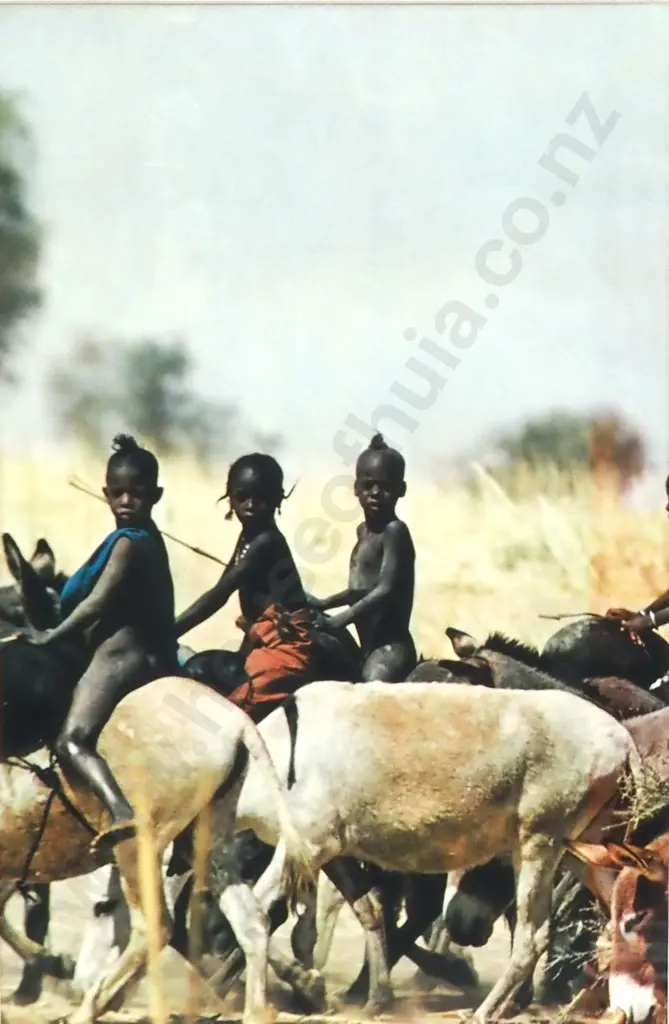 Artist Unknown - Children - Photograph - 350mm X 230mm AF Image 1++