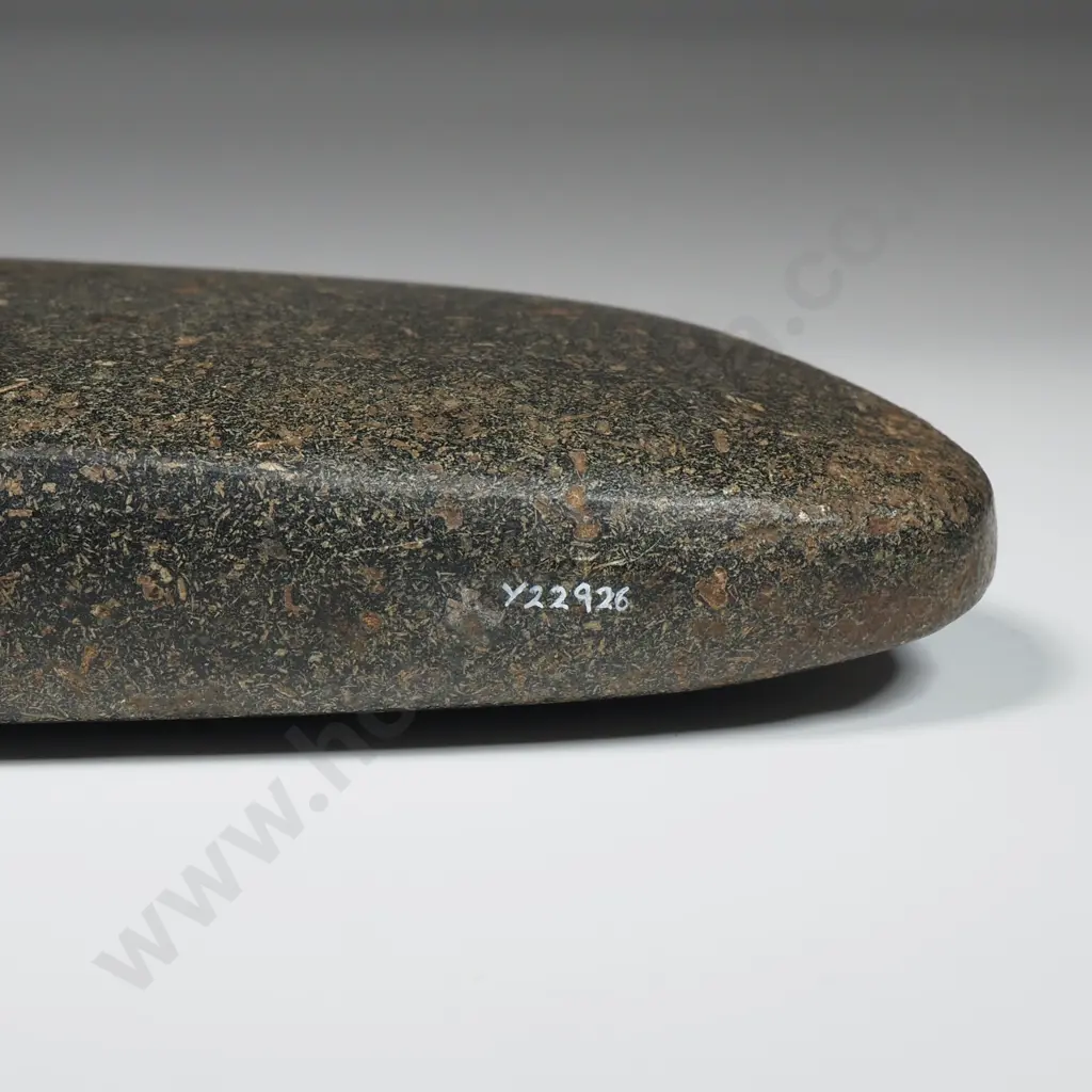 Toki, Possibly from a Tangowahine Farm, Northland - Y22926  Image 1++
