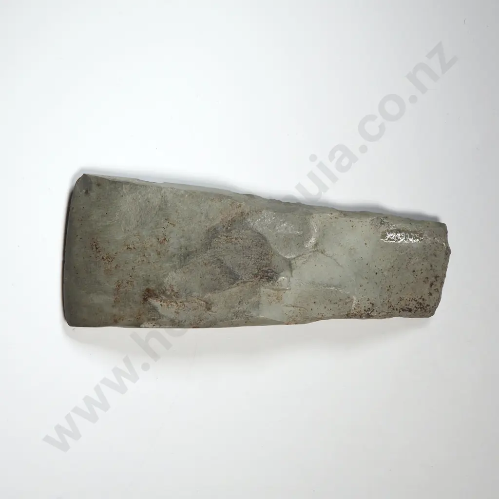 Toki,  Found Near Puponga Wharf, Tasman District- Y22927  Image 1++