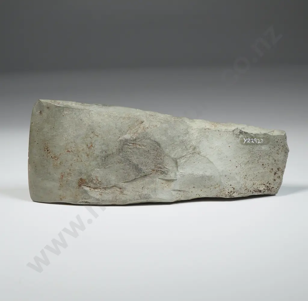 Toki,  Found Near Puponga Wharf, Tasman District- Y22927  Image 1++