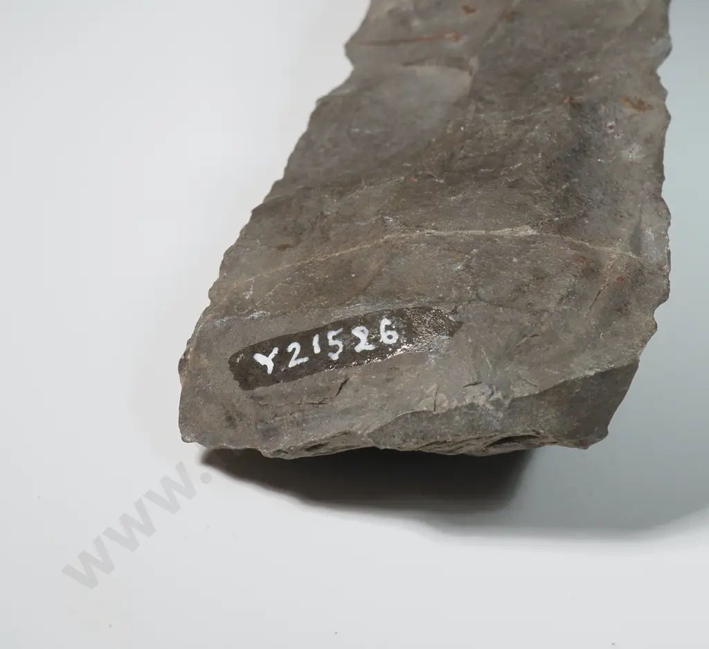 Pre-European Stone Toki - Y21526 Image 1++