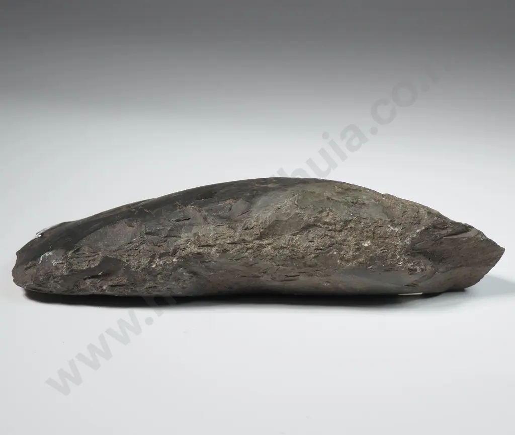 Pre-European Stone Toki - Y21544 Image 1++