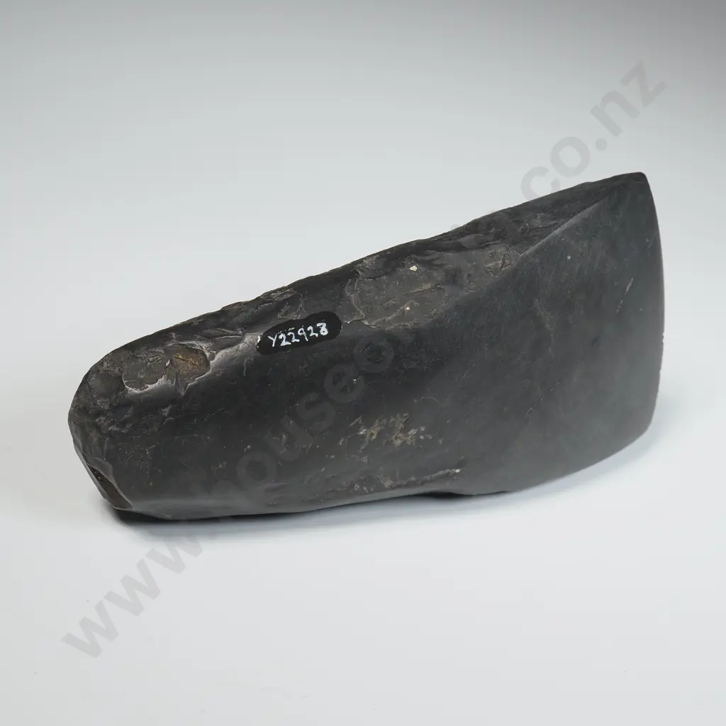 Toki,  Found Near Puponga Wharf, Tasman District- Y22928  Image 1++