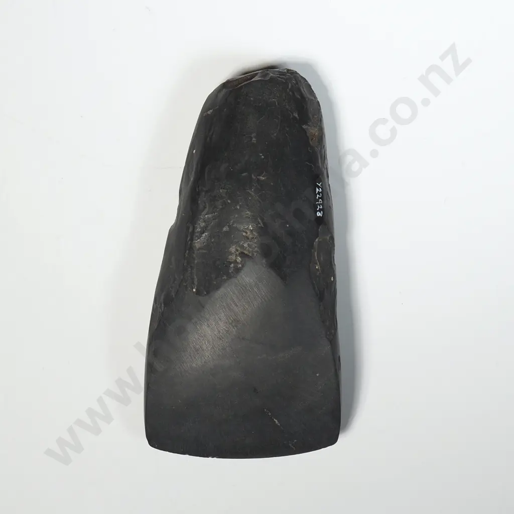 Toki,  Found Near Puponga Wharf, Tasman District- Y22928  Image 1++