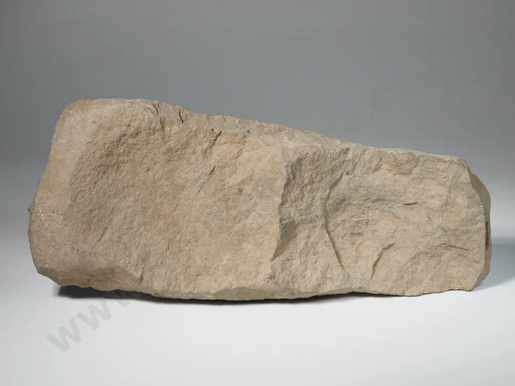 Extremely Large Pre-European Stone Toki Rough out - Y22087 Image 1++